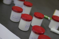 20210915-Kaeuterkunde-fuer-Kids-3