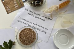 2022-09-24-Stuttgart-Allianz-fuer-Beteiligung-8