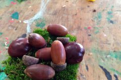 2-2022-10-06-Holz-AG-Herbstfiguren-001