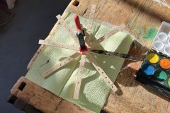 5-2022-10-27-Holz-AG-Spinnennetz-5