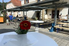 19-IMG_5318