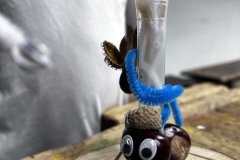 1-IMG_7647