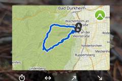 2024-10-26-Nordic-Walking-Wanderung-Pfalz-1