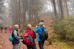 2024-10-26-Nordic-Walking-Wanderung-Pfalz-6