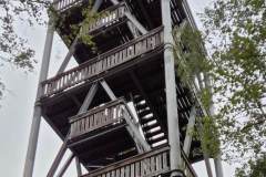 2024-10-26-Nordic-Walking-Wanderung-Pfalz-9