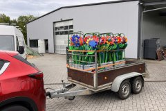 1-IMG_2259