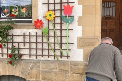 03-20250523-Waldangelloch-blueht-auf-Oeffentliche-Blumen-013