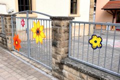 05-20250523-Waldangelloch-blueht-auf-Oeffentliche-Blumen-017