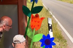 07-20250523-Waldangelloch-blueht-auf-Oeffentliche-Blumen-022