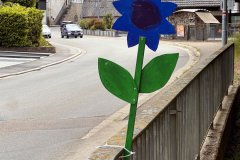 08-20250523-Waldangelloch-blueht-auf-Oeffentliche-Blumen-026