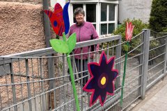 10-20250523-Waldangelloch-blueht-auf-Oeffentliche-Blumen-033