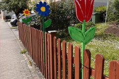 11-20250524-Waldangelloch-blueht-auf-Oeffentliche-Blumen-038