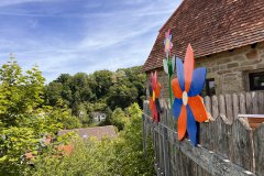 12-20250524-Waldangelloch-blueht-auf-Oeffentliche-Blumen-041
