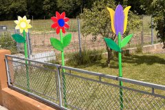 14-20250524-Waldangelloch-blueht-auf-Oeffentliche-Blumen-043