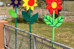 15-20250524-Waldangelloch-blueht-auf-Oeffentliche-Blumen-044