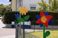 16-20250524-Waldangelloch-blueht-auf-Oeffentliche-Blumen-045