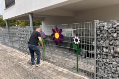 17-20250524-Waldangelloch-blueht-auf-Oeffentliche-Blumen-047