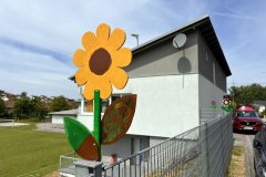 19-20250524-Waldangelloch-blueht-auf-Oeffentliche-Blumen-050