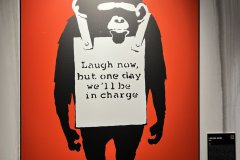 05-2026-01-31-Freundeskreis-Banksy-Mannheim-23