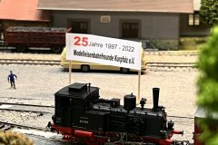 03-20260225-Modellbahnfreunde-Wiesloch-Entenmoerder-003