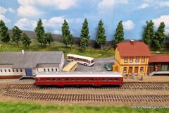 14-20260303-Modellbahnfreunde-Wiesloch-Entenmoerder-017