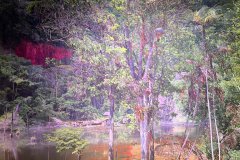 06-20260425-Freundeskreis-Pforzheim-Gasometer-Amazonien-017