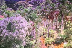 07-20260425-Freundeskreis-Pforzheim-Gasometer-Amazonien-020