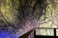 09-20260425-Freundeskreis-Pforzheim-Gasometer-Amazonien-025