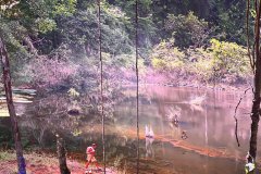 10-20260425-Freundeskreis-Pforzheim-Gasometer-Amazonien-031