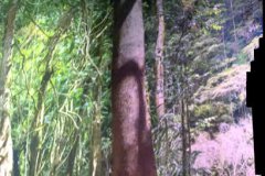 12-20260425-Freundeskreis-Pforzheim-Gasometer-Amazonien-042