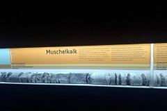15-2026-07-25-Freundeskreis-Salzbergwerk-12