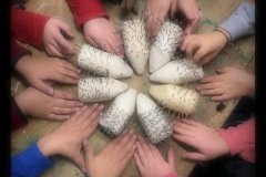 20201022-Holz-AG-15