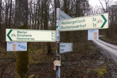 2020-03-09-nordic-walking-4_49644540756_o