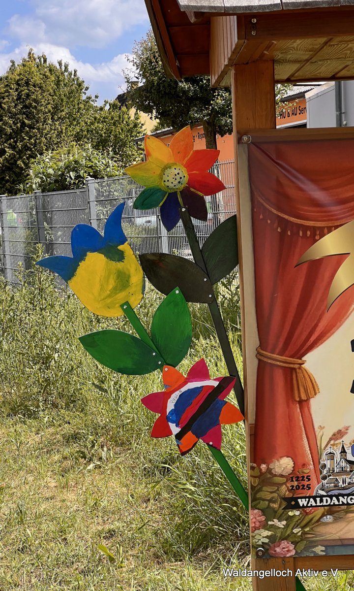 01-20250523 Waldangelloch blüht auf – Öffentliche Blumen – 005