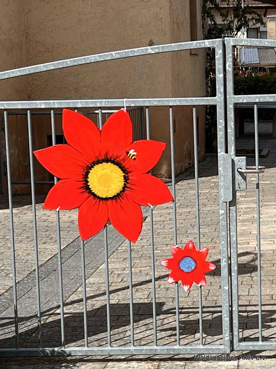 04-20250523 Waldangelloch blüht auf – Öffentliche Blumen – 016