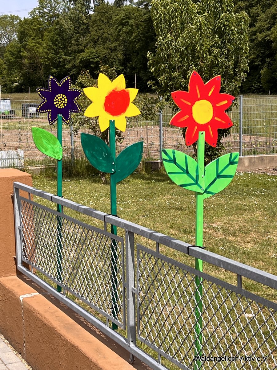 15-20250524 Waldangelloch blüht auf – Öffentliche Blumen – 044