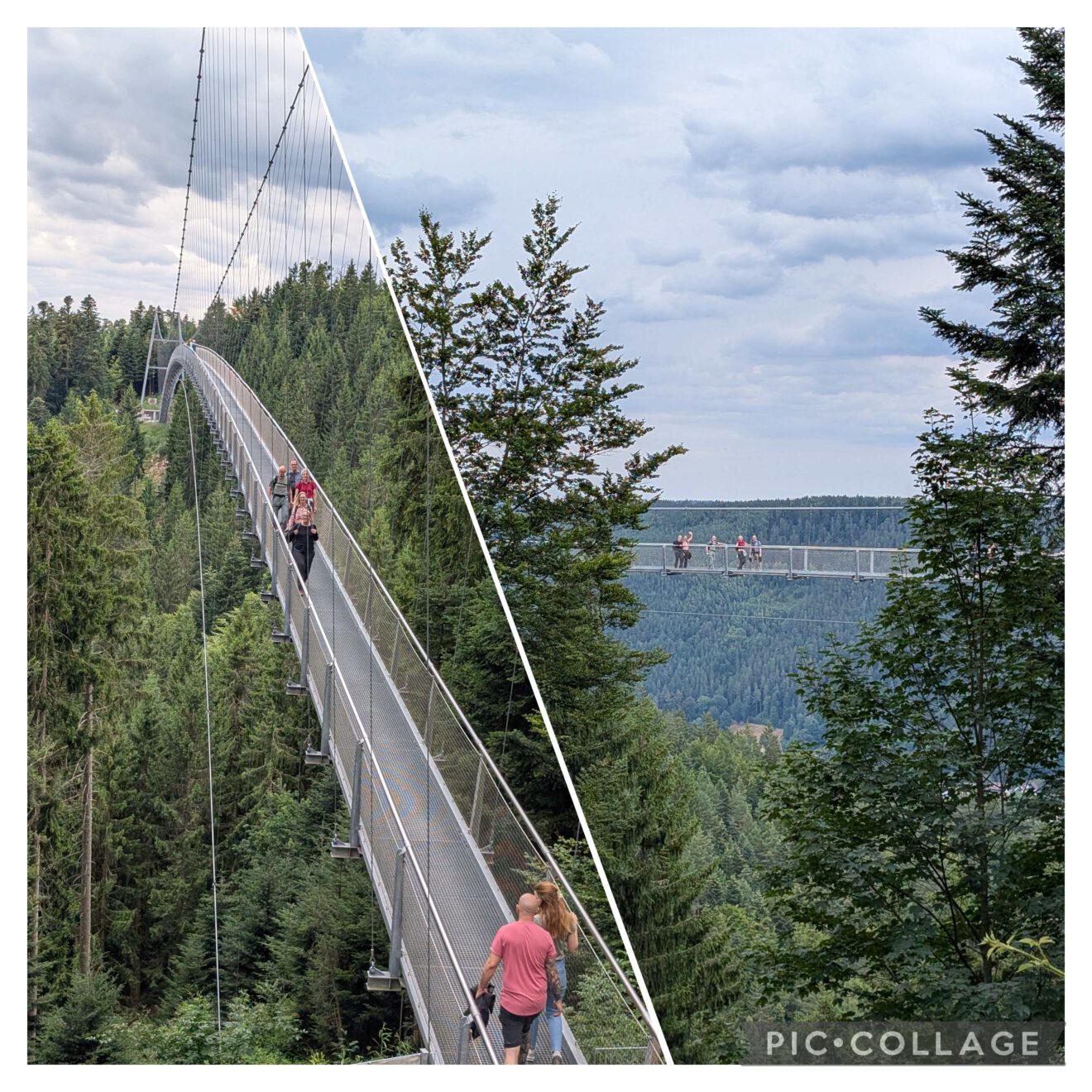 2025 Jahresausflug der Nordic-Walking-Gruppe: Naturerlebnis im Schwarzwald